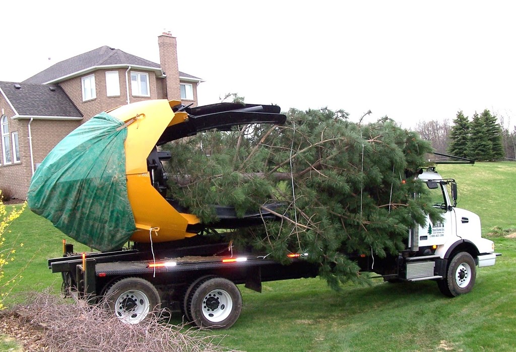 Hall Tree Spading a Division of Beech Nursery Group | 16725 Jane Street, King, ON L7B 0G8, Canada | Phone: (800) 463-1996