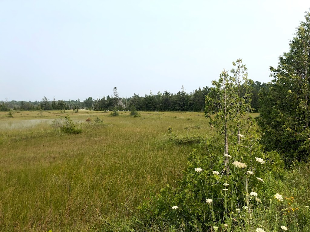 Singing Sands Beach | Singing Sands Interpretive Trail, Tobermory, ON N0H 2R0, Canada | Phone: (519) 596-2233