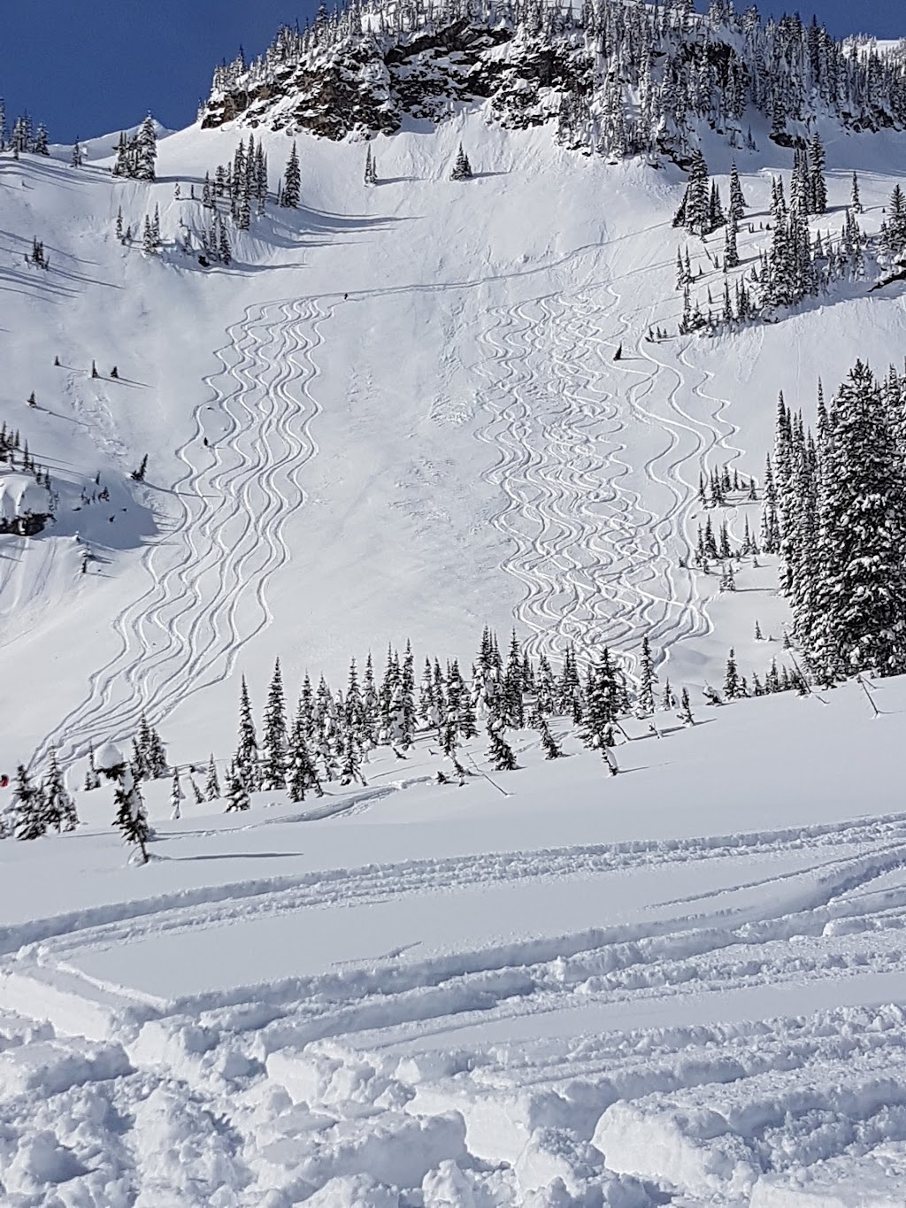 Monashee Powdercats Lodge | North Okanagan E, BC V0E 2S0, Canada | Phone: (250) 545-0661