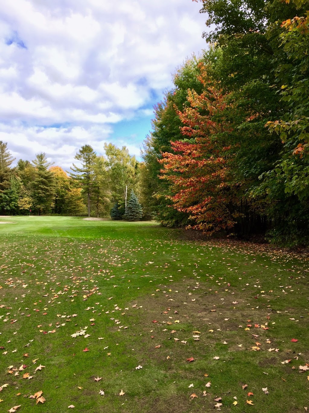 Tincap Golf Club | 4551 Airport, Brockville, ON K6V 5T4, Canada | Phone: (613) 498-4106