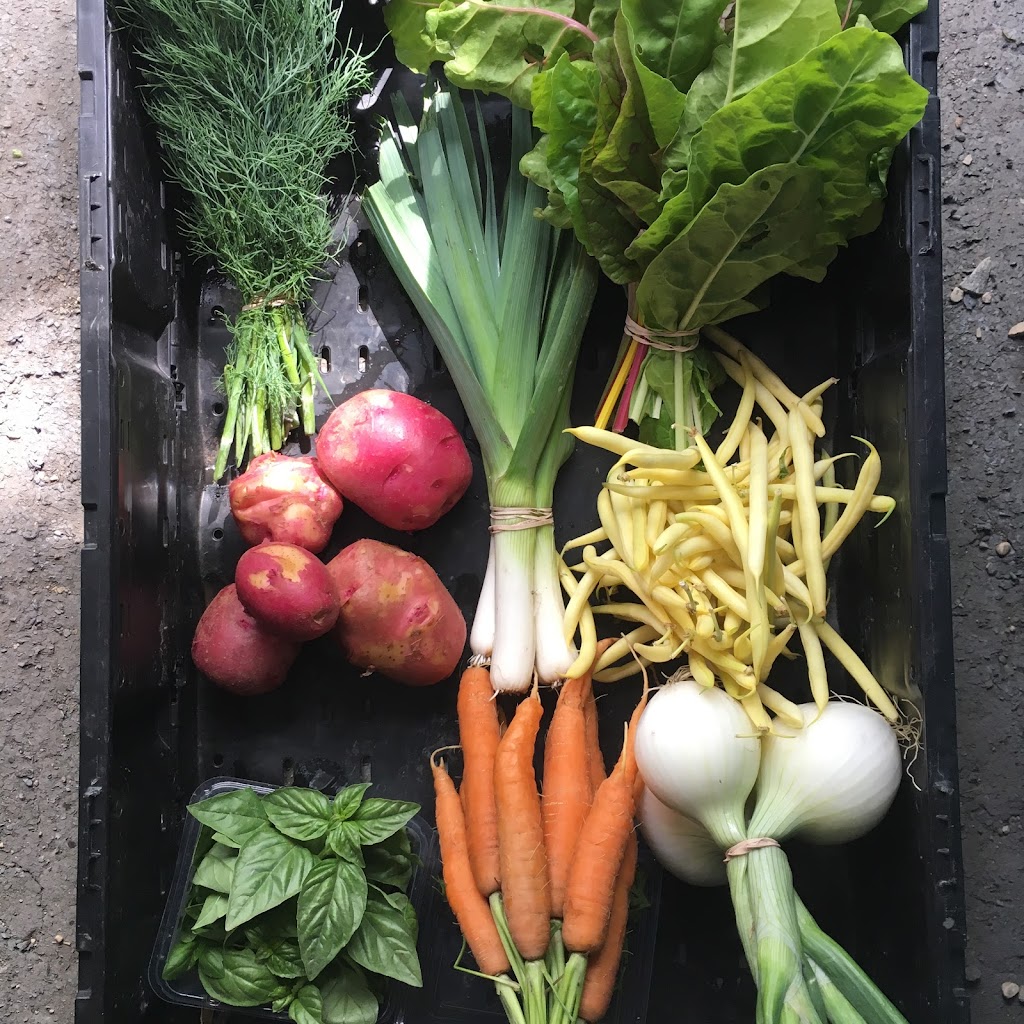 Natural Collective CSA | Box 1195, Niverville, MB R0A 0A1, Canada | Phone: (204) 751-0697