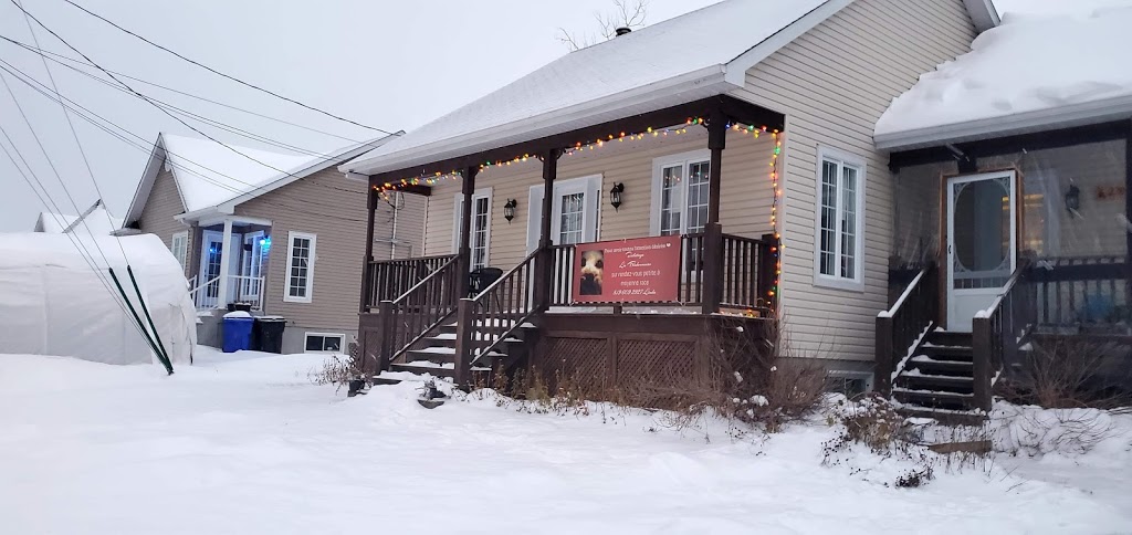 Toilettage La Bichonneuse | 220 Rue Émélie-Lozeau, Nicolet, QC J3T 0A5, Canada | Phone: (819) 609-2927