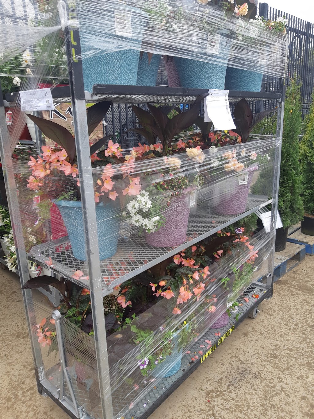 Cherry Creek Greenhouses | 3550 Cherry Ave, Vineland, ON L0R 2C0, Canada | Phone: (905) 562-5993