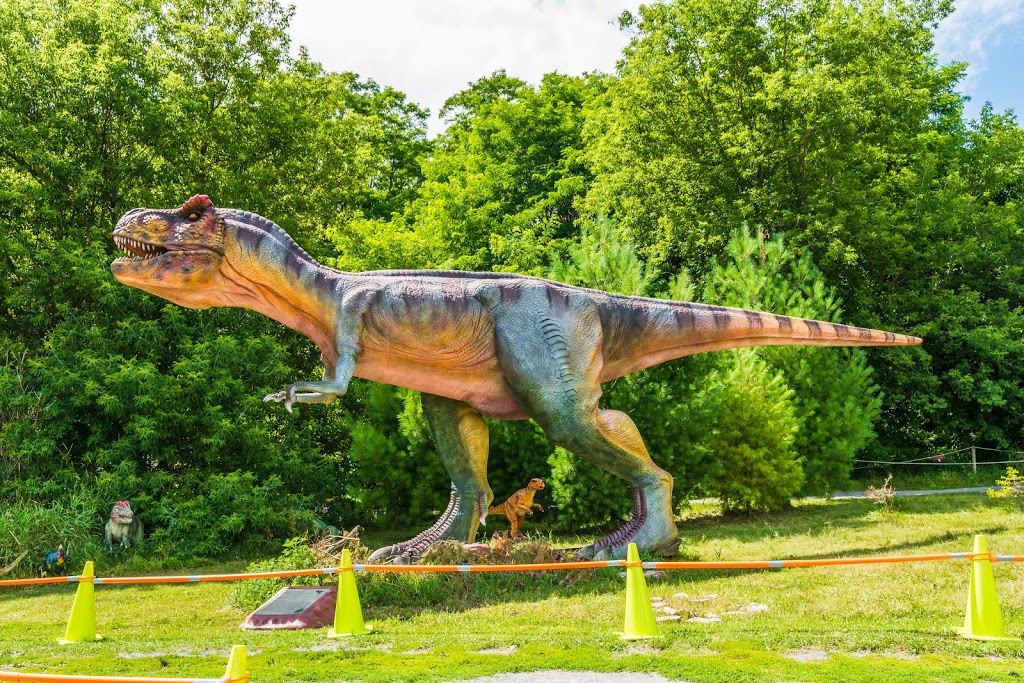 Indian River Reptile & Dinosaur Park | 2206 County Rd 38, Indian River, ON K0L 2B0, Canada | Phone: (705) 639-1443