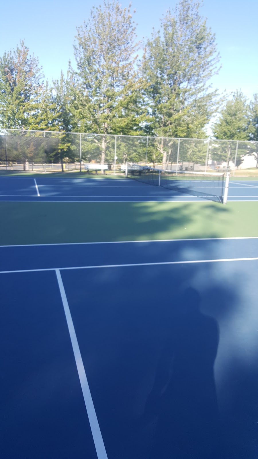 Springwood Tennis Courts | 735 Despard Ave, Parksville, BC V9P 1P9, Canada | Phone: (250) 947-9743