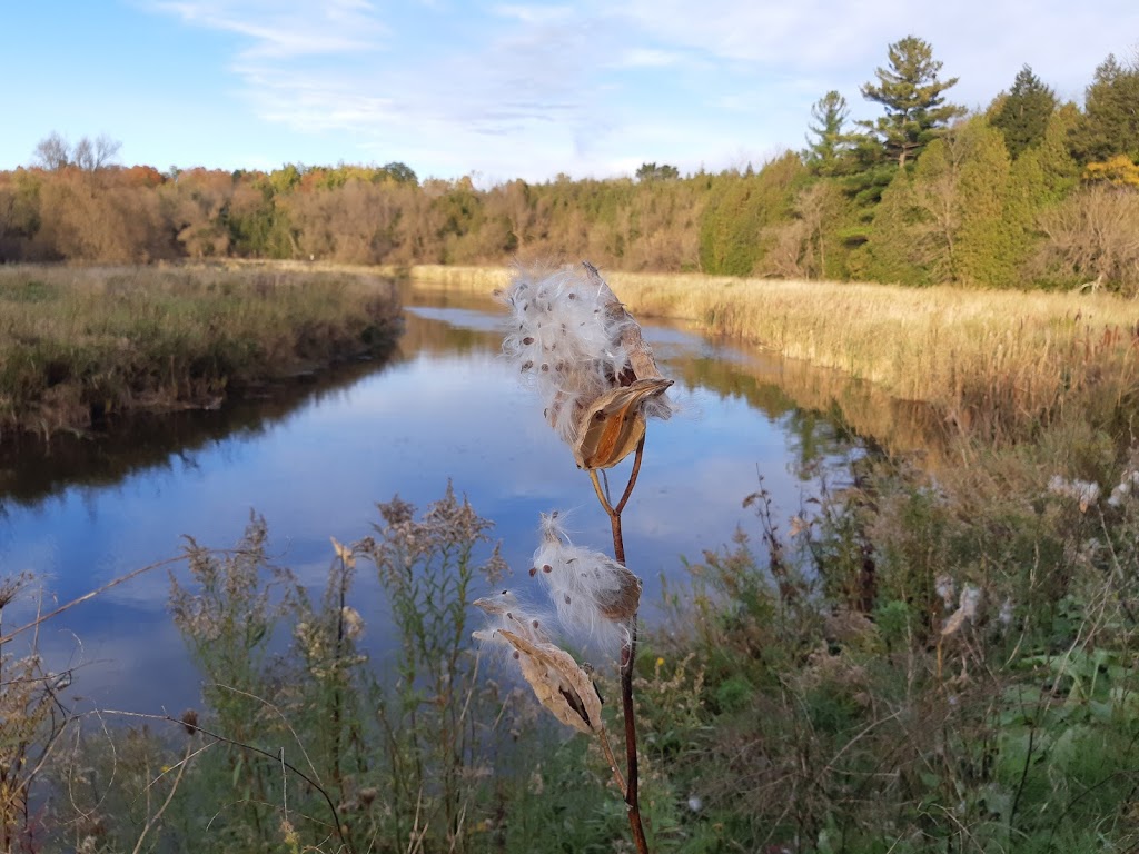 Seaton Hiking Trail | ON-7, Locust Hill, ON L0H 1J0, Canada