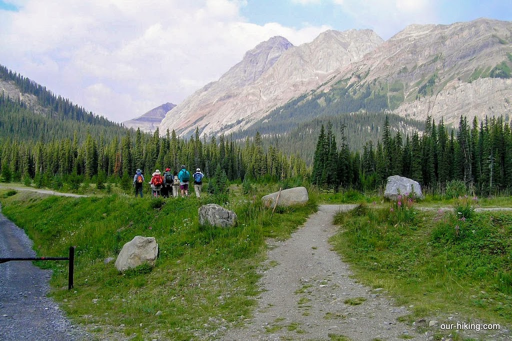 Burstall Pass Trailhead | Smith Dorrien Trail, Alberta T0L 2C0, Canada | Phone: (403) 678-0760