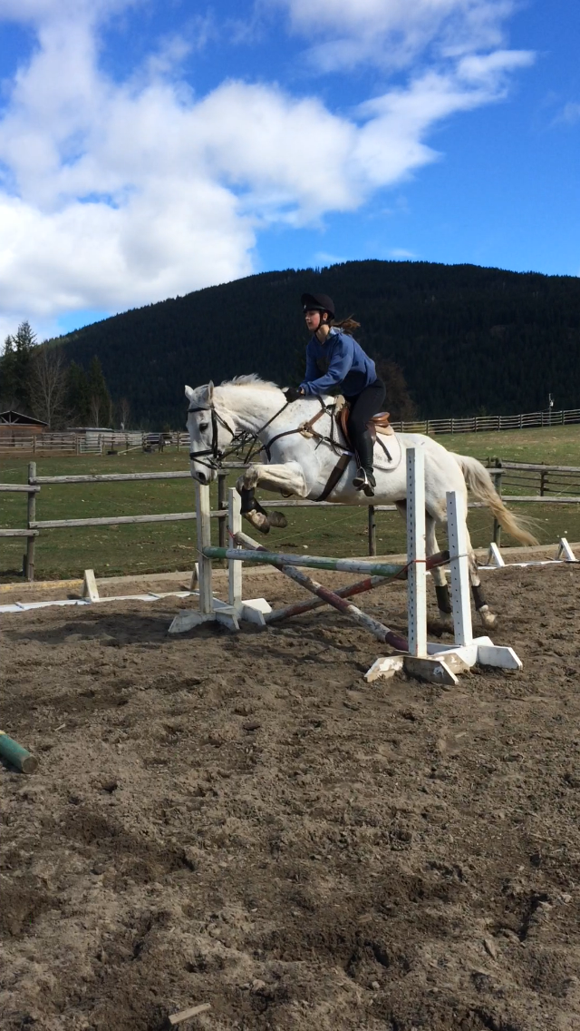 Woodcreek Equestrian | 561 60 St SE, Salmon Arm, BC V1E 1W4, Canada | Phone: (250) 253-1416