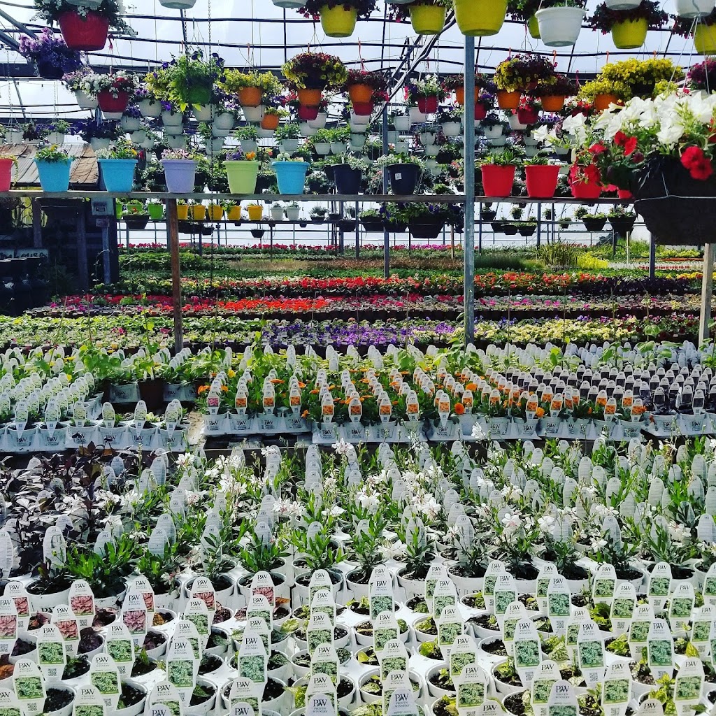 Westside Nurseries & Greenhouses Ltd. | 353 ON-21 #202, Owen Sound, ON N4K 5N7, Canada | Phone: (519) 376-6521