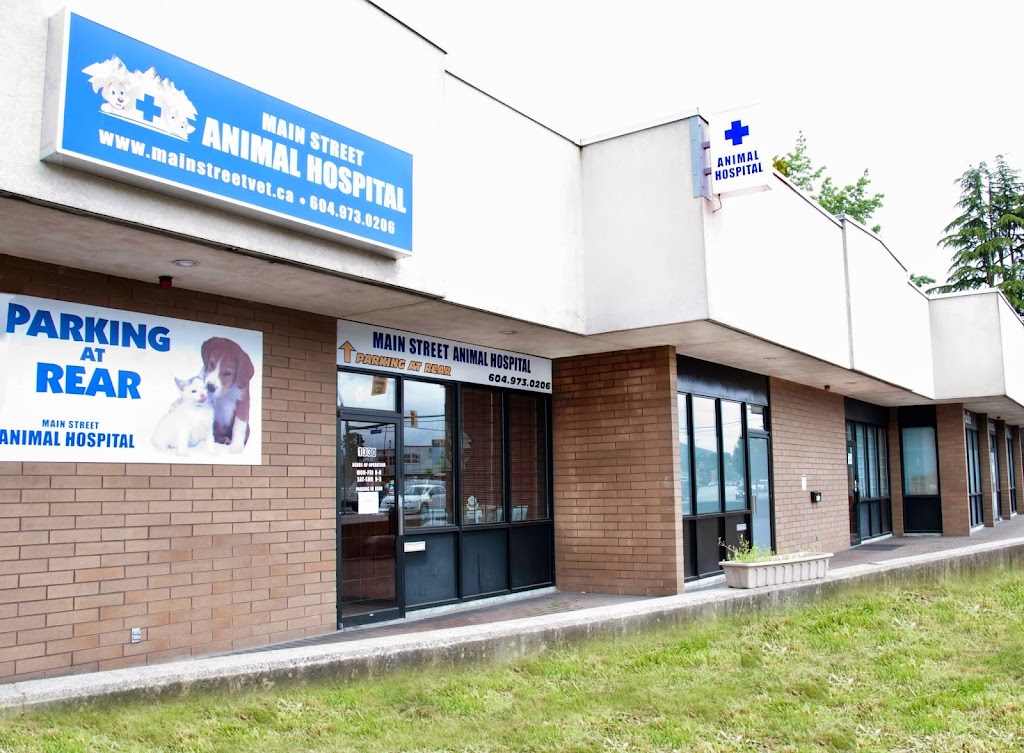 Main Street Animal Hospital | 1330 Main St, North Vancouver, BC V7J 1C3, Canada | Phone: (604) 973-0206