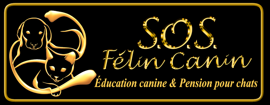 S.O.S. Félin Canin - Éducation canine | 214 Rue Blake, Notre-Dame-du-Bon-Conseil, QC J0C 1A0, Canada | Phone: (819) 473-3460