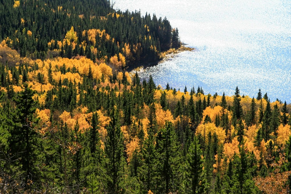 Kananaskis Visitor Information Centre | 1 AB-40, Kananaskis, AB T0L 2H0, Canada | Phone: (403) 678-0760