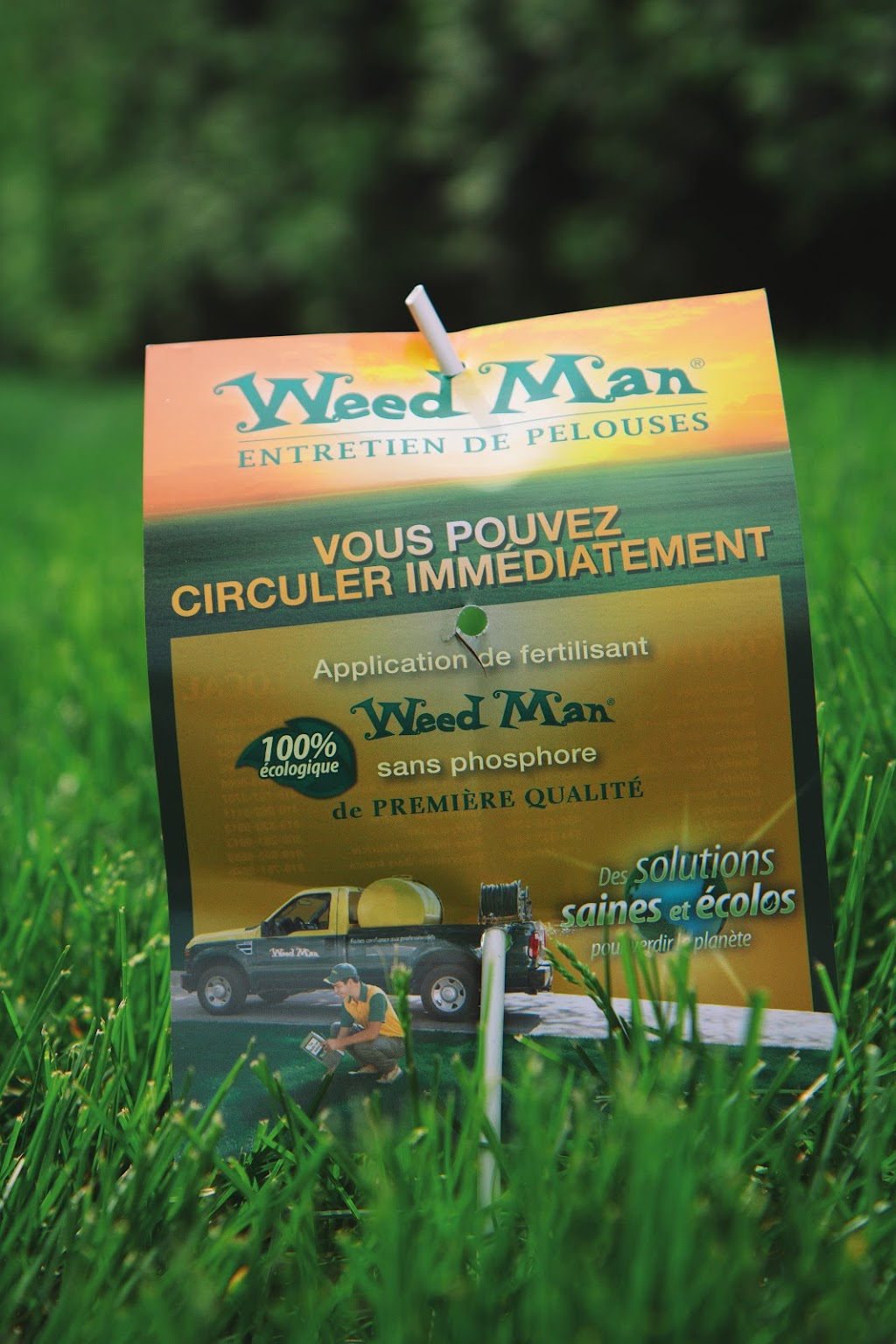 Weed Man Lévis | 270 Rue des Gabarieurs, Lévis, QC G6Y 9E9, Canada | Phone: (418) 835-1454