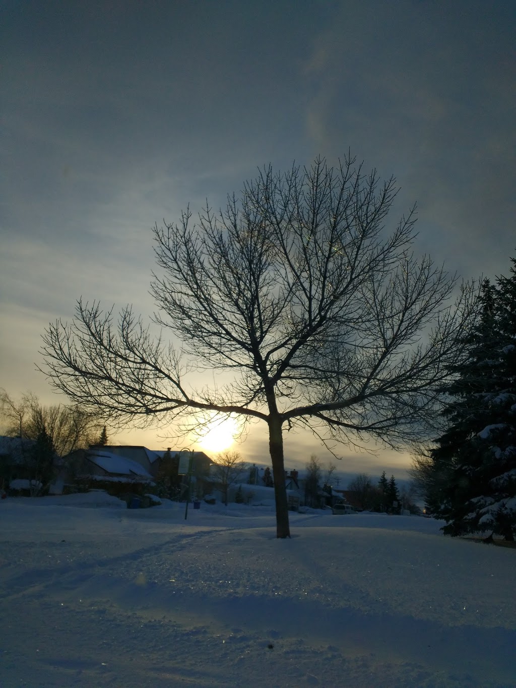 Parc Pierre-Le Gardeur | 4523 Boulevard Pierre le Gardeur, Terrebonne, QC J6V 1K6, Canada