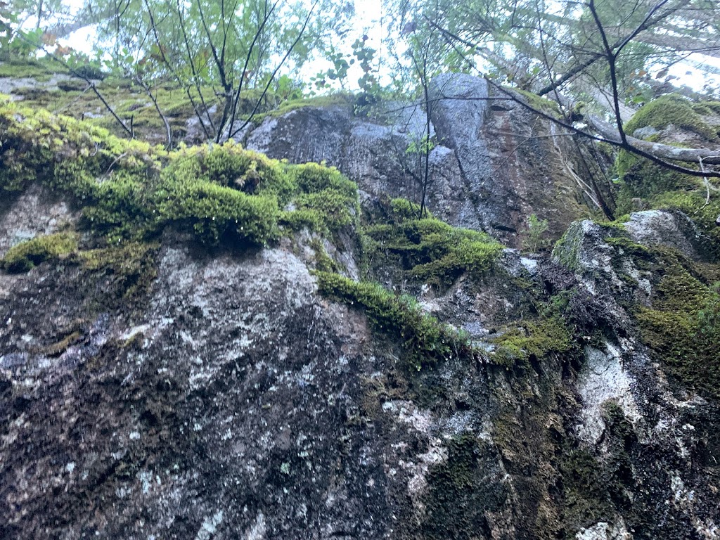 Stawamus Chief Trailhead | 36800 BC-99, Squamish, BC V0N 3G0, Canada