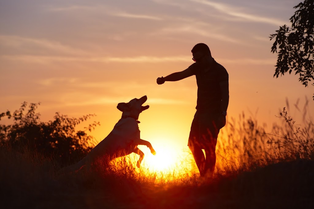 Cremation Animaux Veuliah | 3520 Chem. dOka, Saint-Joseph-du-Lac, QC J0N 1M0, Canada | Phone: (514) 977-9597