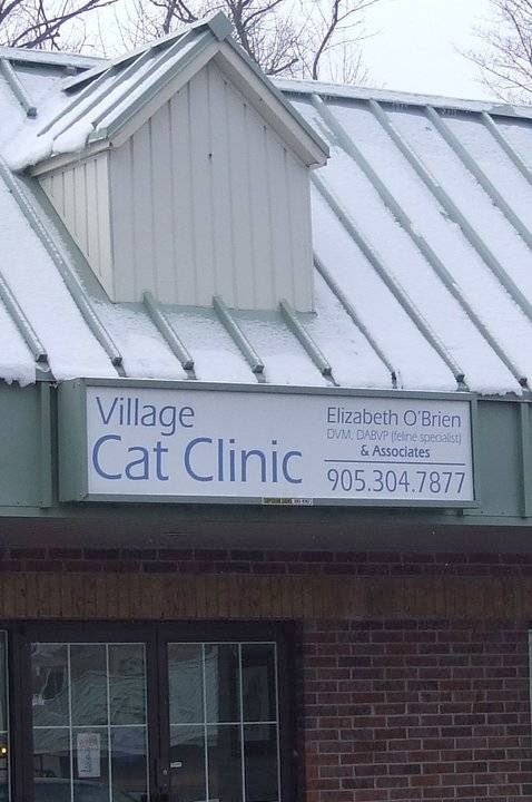 Village Cat Clinic | 356 Wilson St E, Ancaster, ON L9G 2C2, Canada | Phone: (905) 304-7877