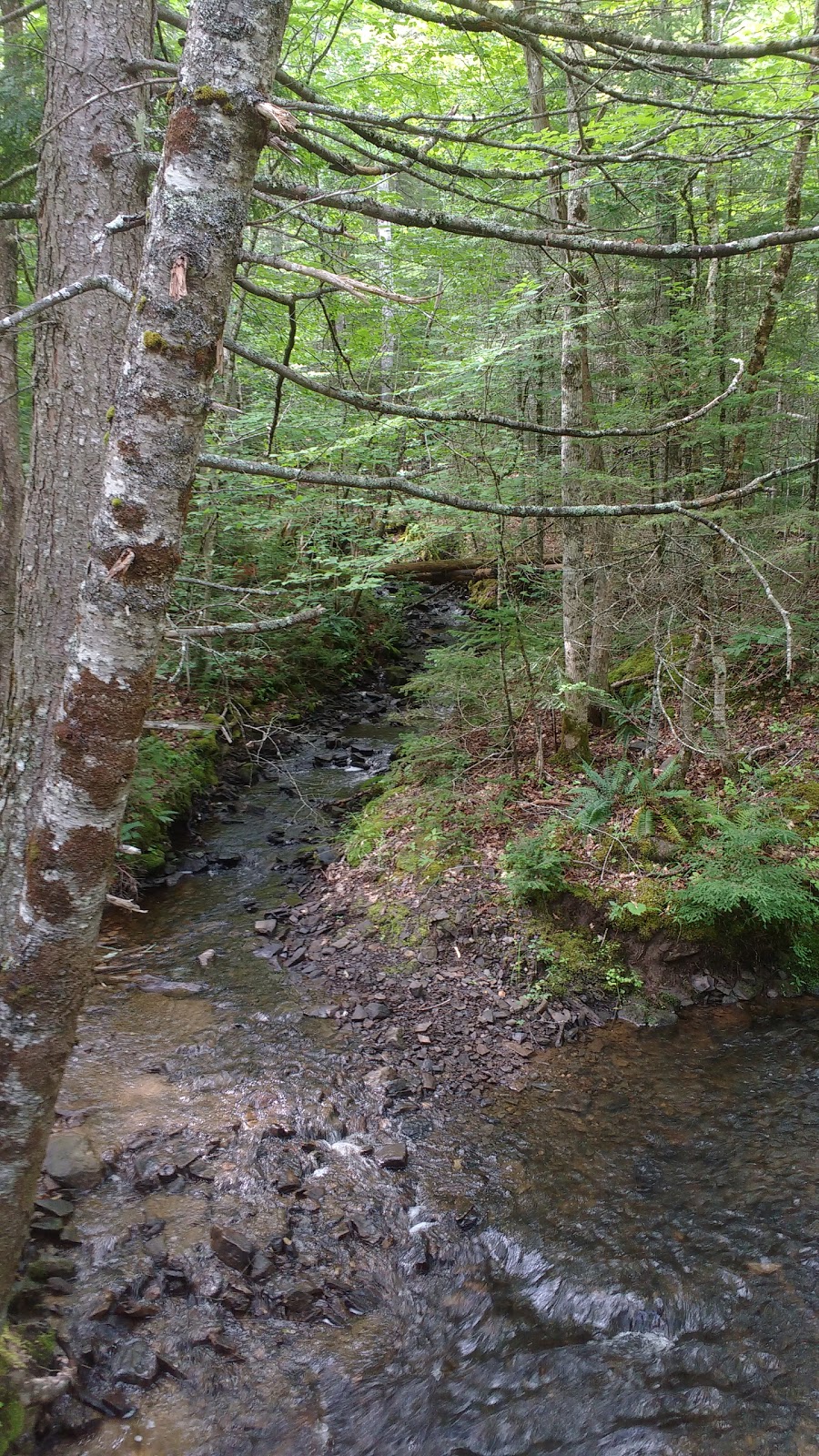 Eldridge Falls | West Hants, NS B0P 1V0, Canada