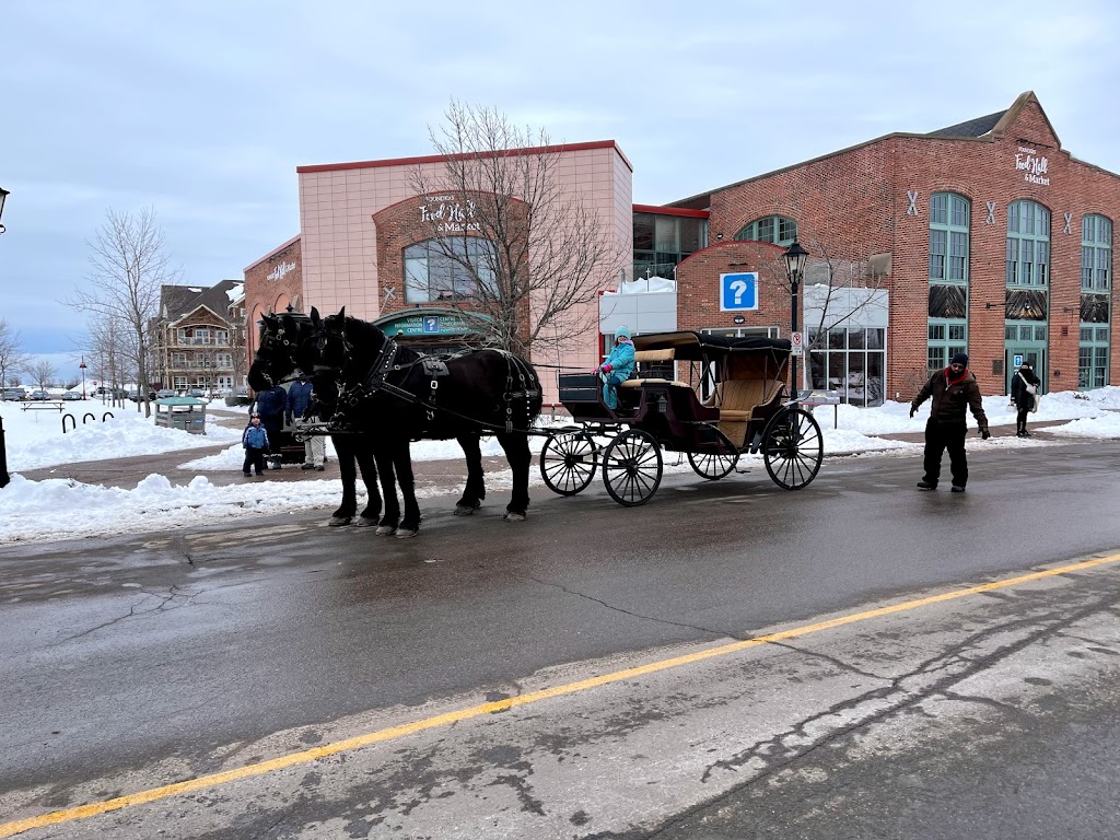 Emerald Isle Carriage Tours | 6 Prince St, Charlottetown, PE C1A 4P5, Canada | Phone: (902) 313-1000