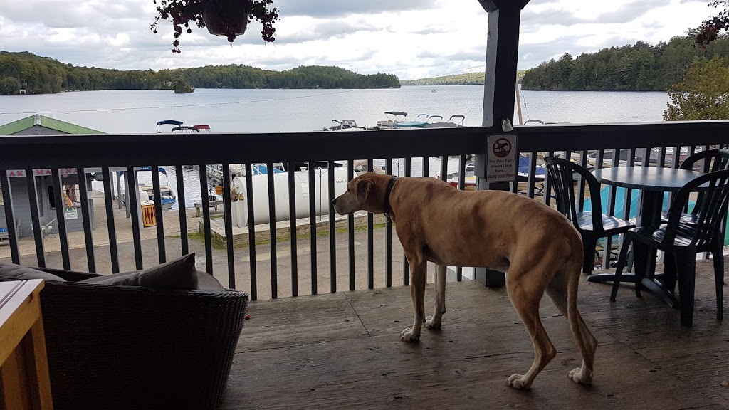 Paudash Lake Marina | 1320 McGillivray Rd, Bancroft, ON K0L 1C0, Canada | Phone: (613) 339-2600