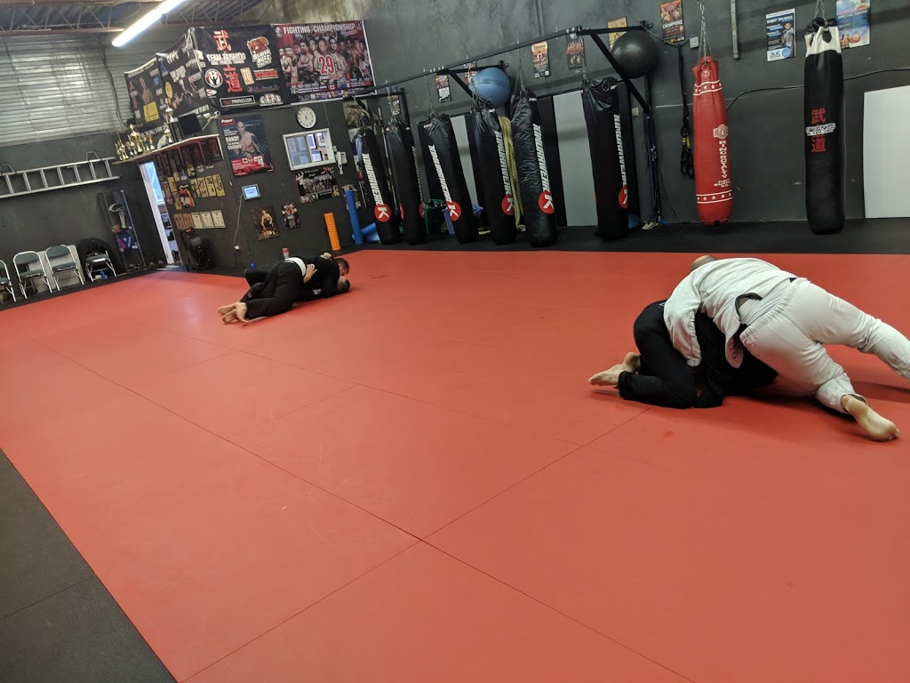 Team Bushido MMA Fitness Center | 50 Slack Rd, Nepean, ON K2G 0E2, Canada | Phone: (613) 224-4662