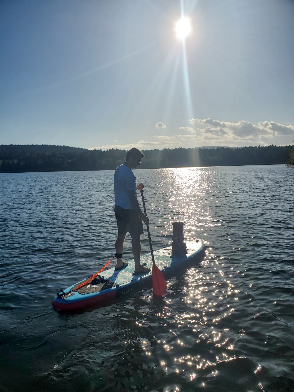 Daisys Paddle Sport Rentals | 7476 E Saanich Rd, Saanichton, BC V8M 1W2, Canada | Phone: (250) 703-1161