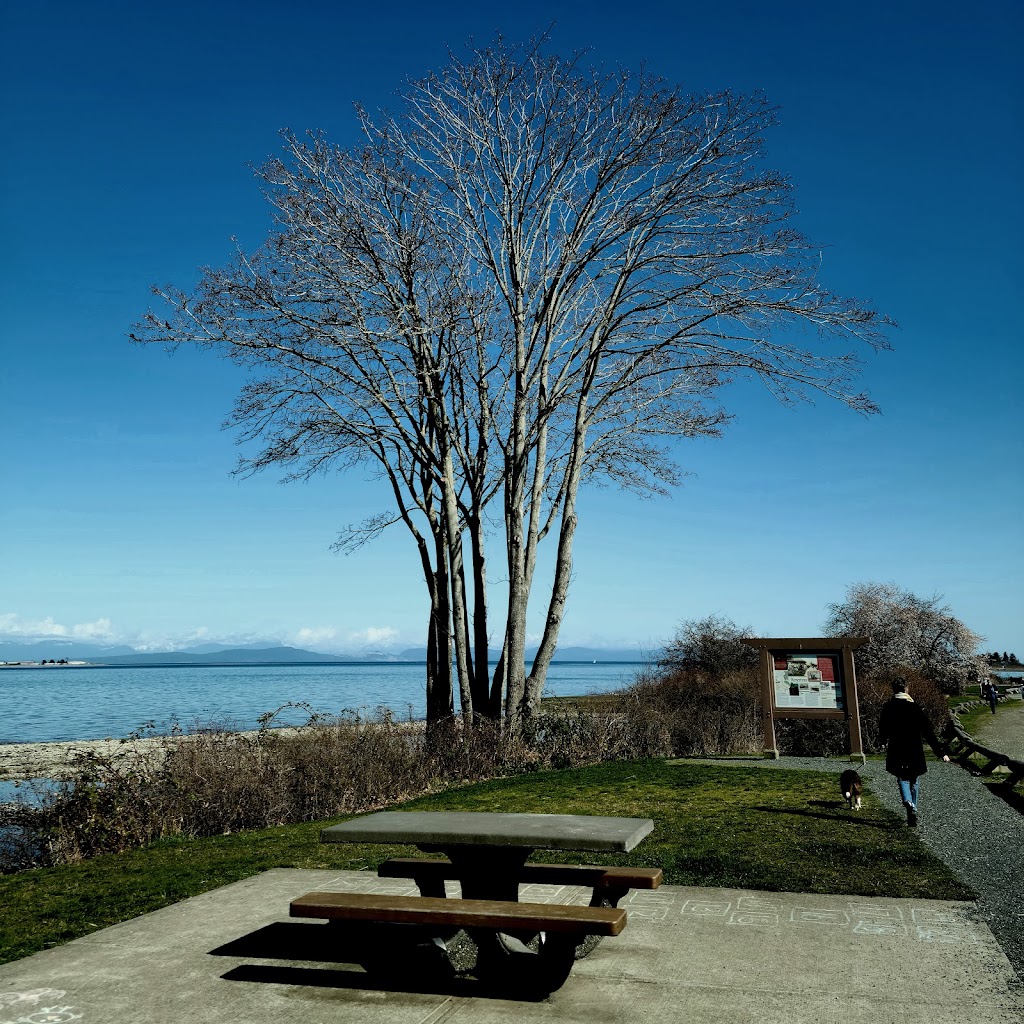 Marine Drive Picnic Area | 39 Marine Dr, Royston, BC V0R 2V0, Canada | Phone: (250) 334-6000