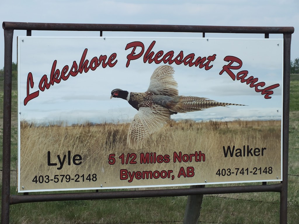 Lakeshore Pheasant Ranch/Farm | Box 62 Byemoor, Byemoor, AB T0J 0L0, Canada | Phone: (403) 741-2148