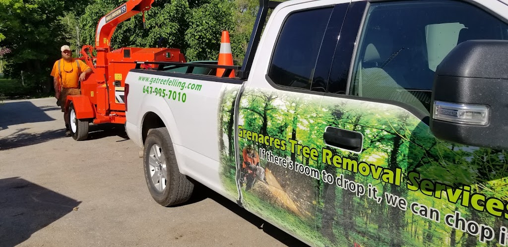 Grenacres Tree Removal Services, Arborist Services | 12698 2 Line, Campbellville, ON L0P 1B0, Canada | Phone: (647) 995-7010