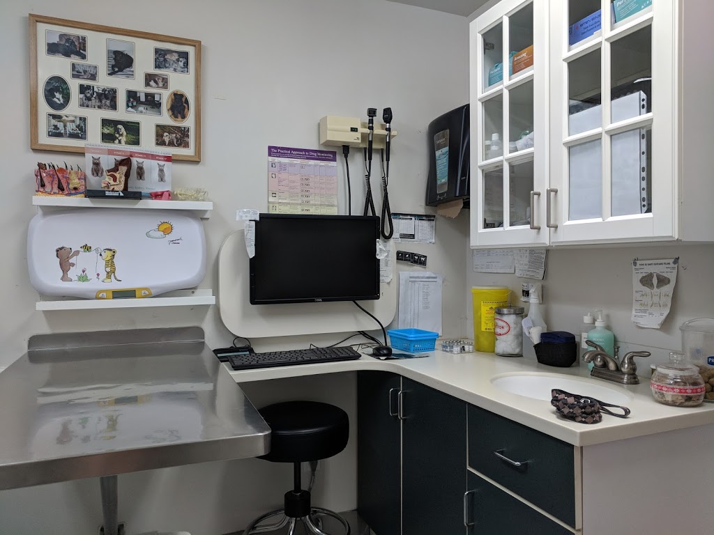 Aylmer Veterinary Clinic 4515269 Canada Inc., | 566 Aylmer Road, Gatineau, QC J9H 1B2, Canada | Phone: (819) 684-6456