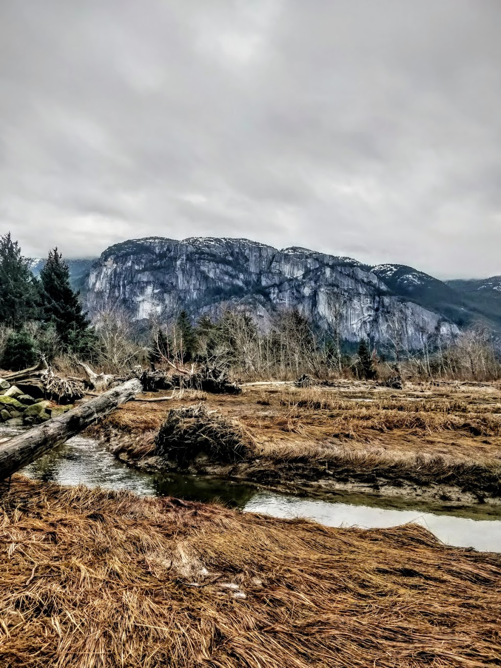 Oceanfront Loop Trail | Unnamed Road, Squamish, BC V8B 0K1, Canada