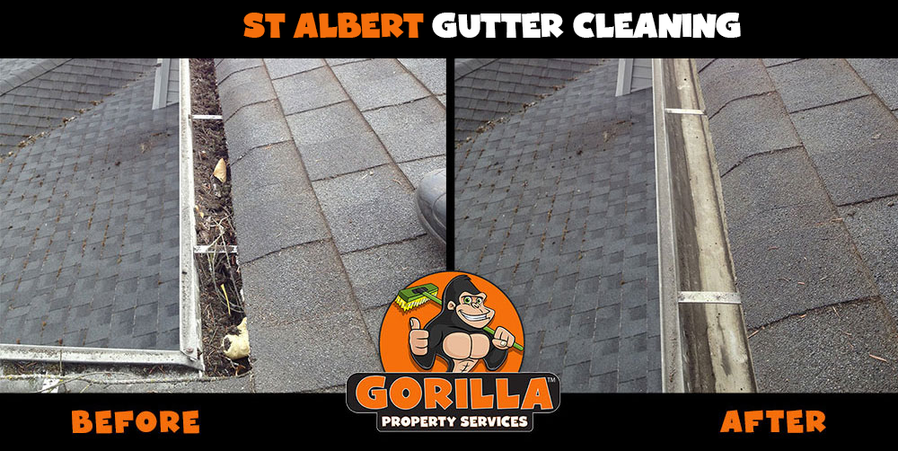 Gorilla Property Services | 8 Lynx Cl #23, St. Albert, AB T8N 5T2, Canada | Phone: (780) 851-7213