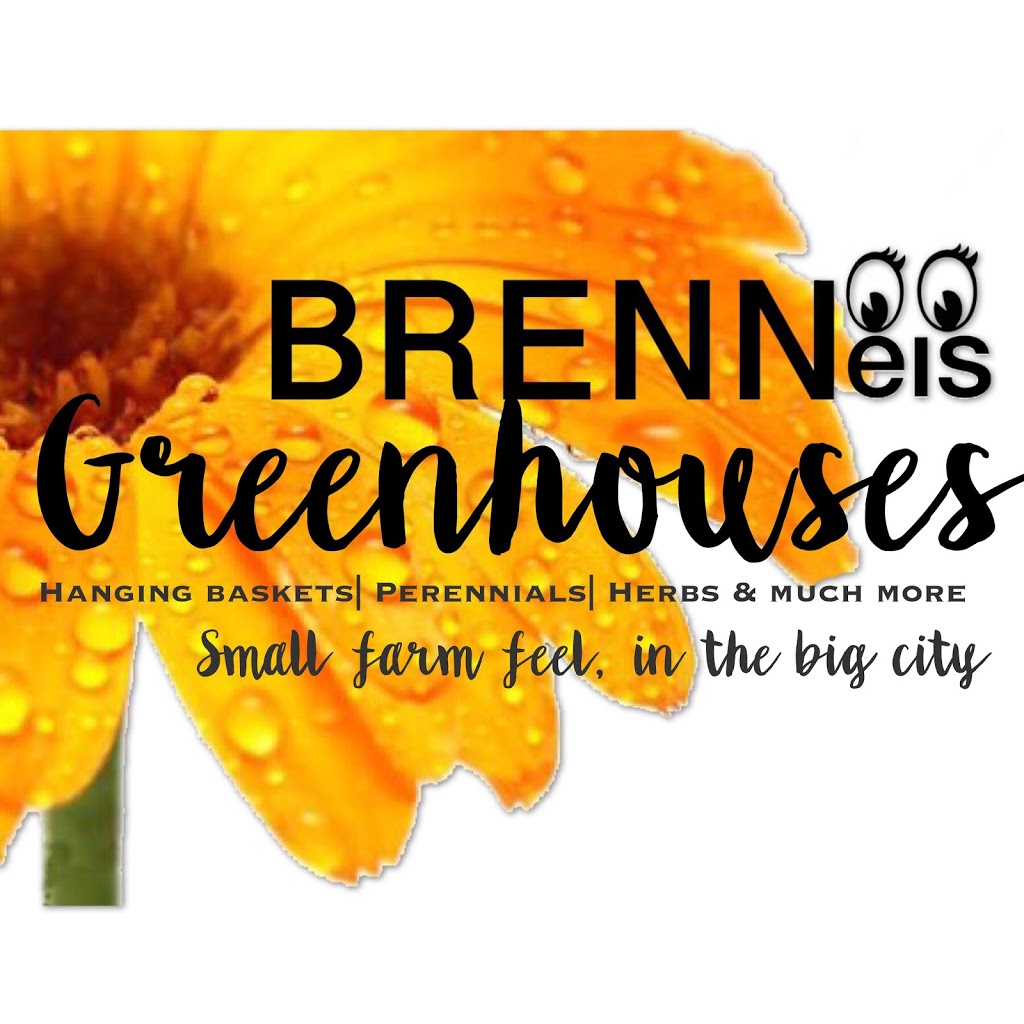 Brenneis Greenhouses | 1612110 St NW, Edmonton, AB T5Y 6K6, Edmonton, AB T5Y 6K6, Canada | Phone: (780) 473-7736