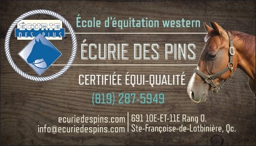 Écurie Des Pins | 691 10E-ET-11E RANG OUEST, Sainte-Françoise, QC G0S 2N0, Canada | Phone: (819) 287-5949