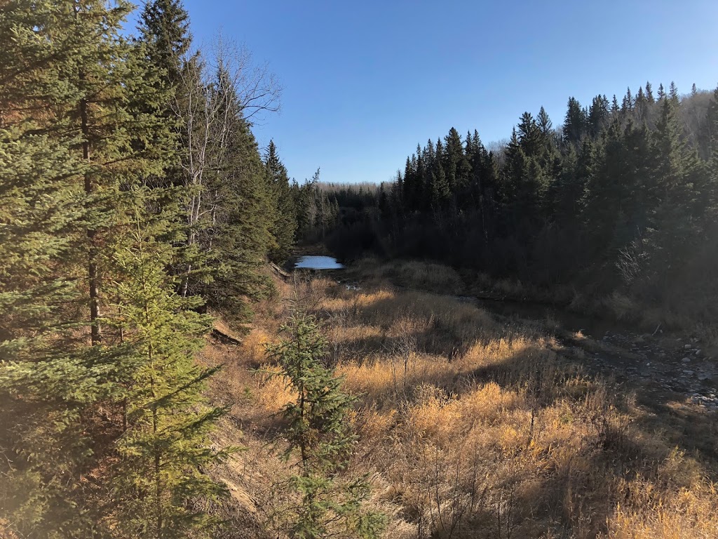 Creek-Lands Foot Trails | Township Rd 502A, Thorsby, AB T0C 2P0, Canada