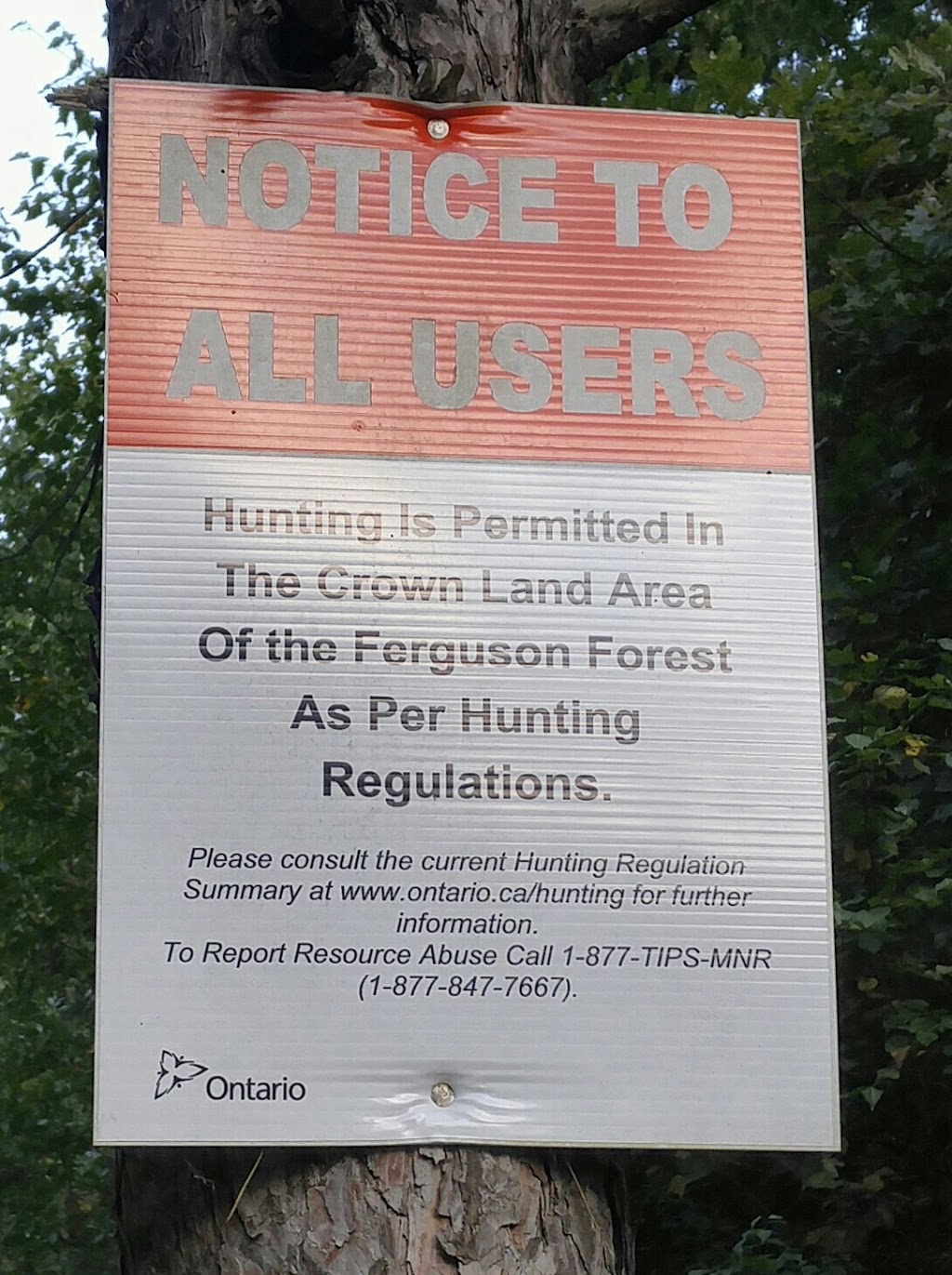 Ferguson Forest Trails Parking | 179 44, Kemptville, ON K0G 1J0, Canada