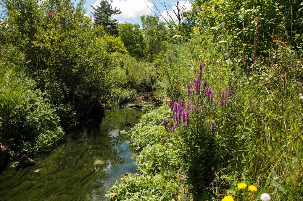 Billy Monkley Cascade | Mt Albion Trail, Hamilton, ON L8W 2A4, Canada