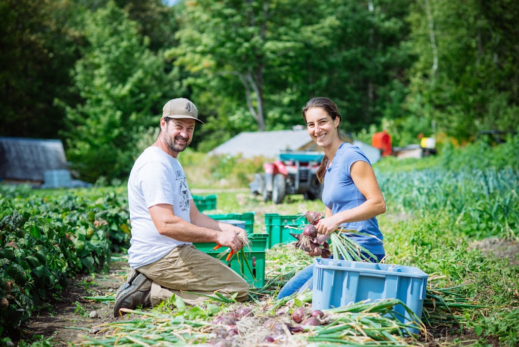 Les Jardins De Sophie | 515 Chem. de lAnse A Pelletier, Saint-Fulgence, QC G0V 1S0, Canada | Phone: (418) 674-1141