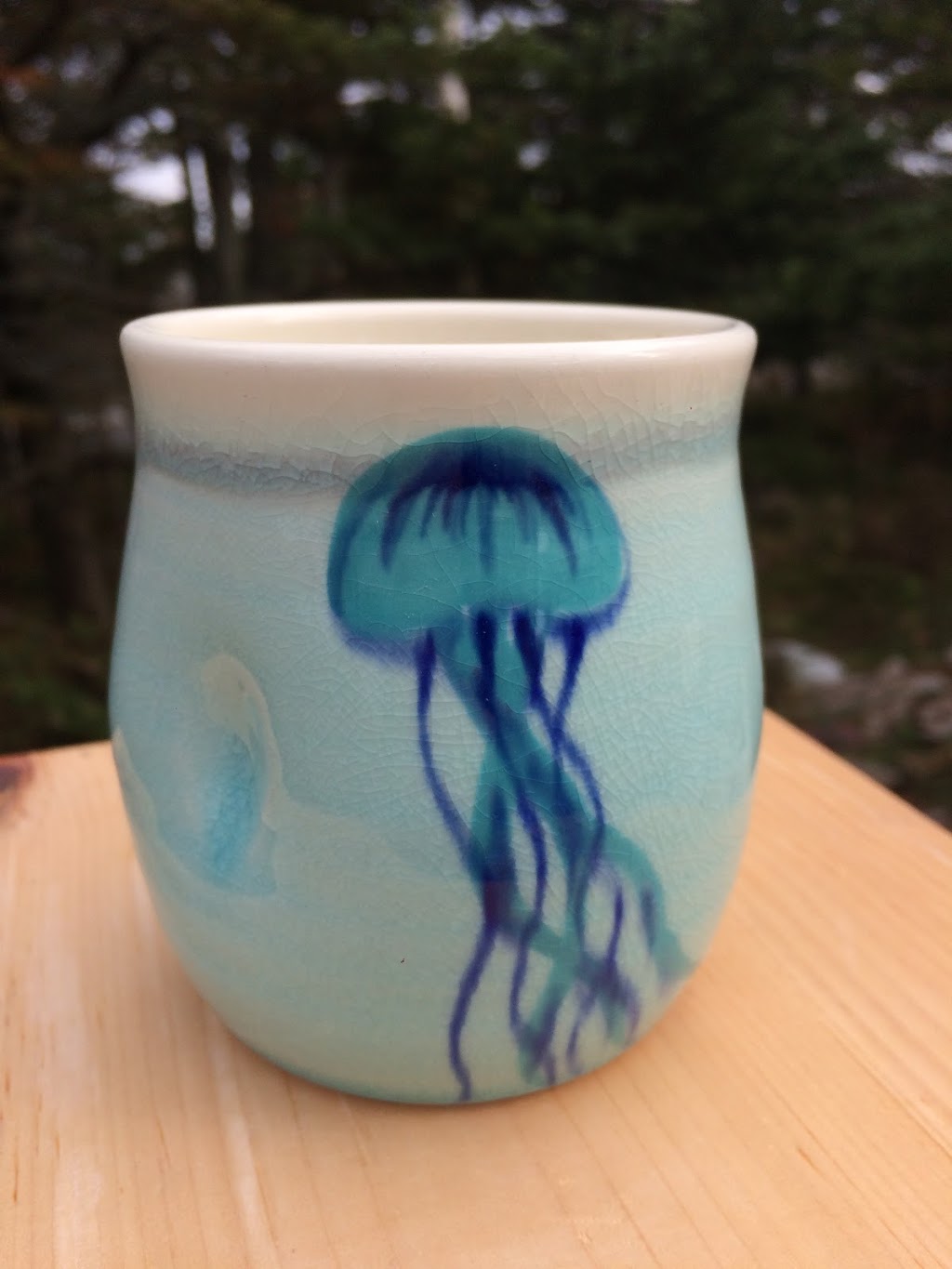 Seastar Pottery | 386 Causeway Rd, Head of Chezzetcook, NS B0J 1N0, Canada | Phone: (902) 802-2112