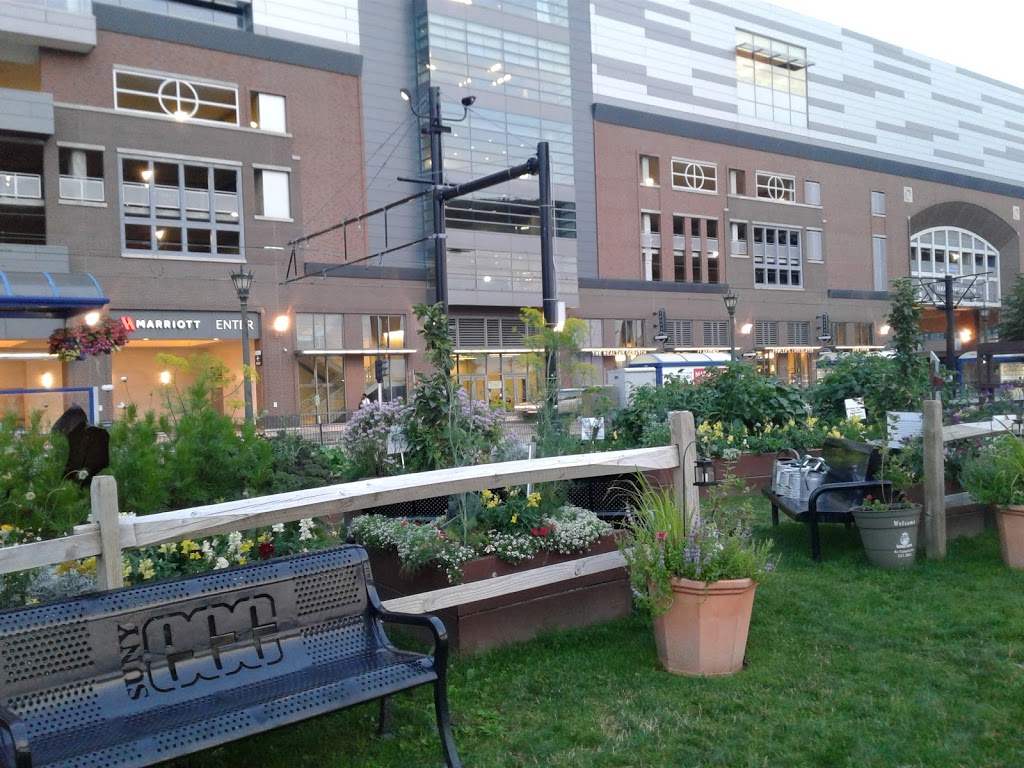 ECC Learning Garden | Buffalo, NY 14203, USA