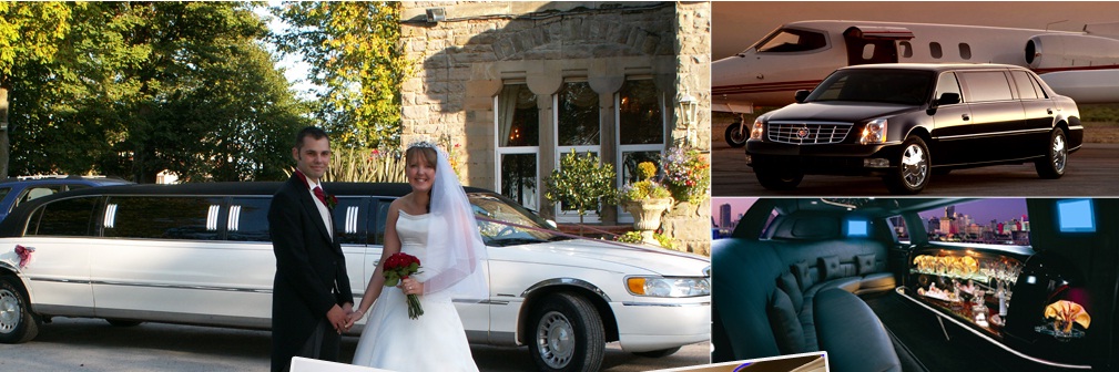 Flying Coach Limousine Services | 8321 Fifth Line, Georgetown, ON L7G 4S6, Canada | Phone: (416) 319-2075