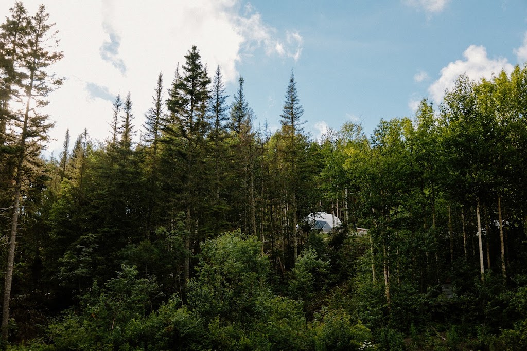 Les diamants de lÉternel | 451 Rue du Massif, Saint-david de falardeau, QC G0V 1C0, Canada | Phone: (418) 673-3330