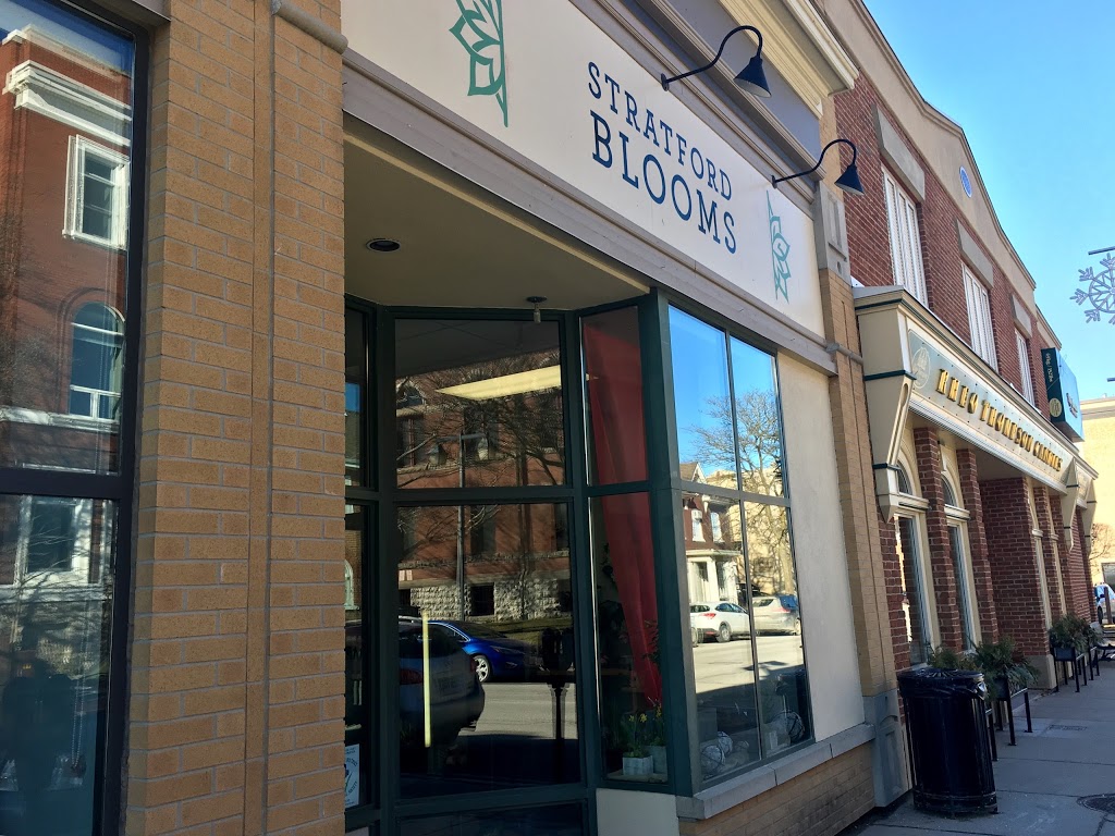 Stratford Blooms | 59 Albert St, Stratford, ON N5A 3K2, Canada | Phone: (519) 814-5000