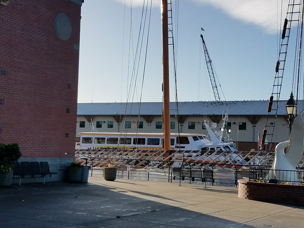 Bellingham Cruise Terminal/Ferry Terminal Long Term Parking | 425 Harris Ave, Bellingham, WA 98225, USA | Phone: (360) 676-2500