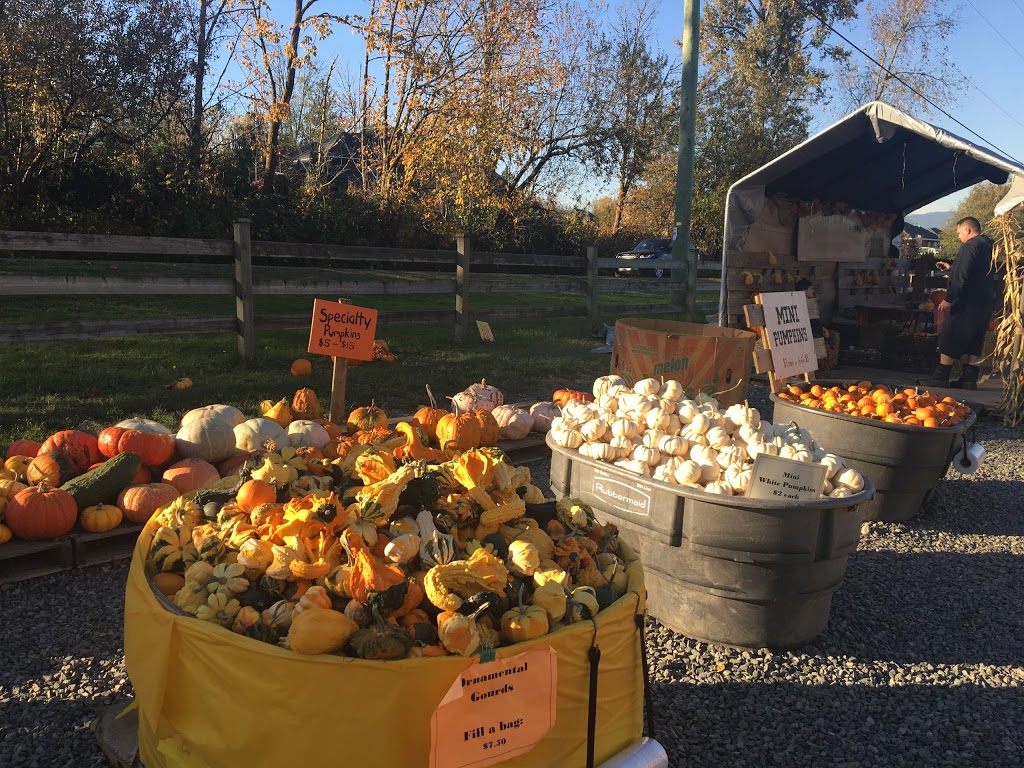 Rondriso Farms Pumpkin Patch and General Store | 8390 172 St, Surrey, BC V4N 3G4, Canada | Phone: (604) 574-5585