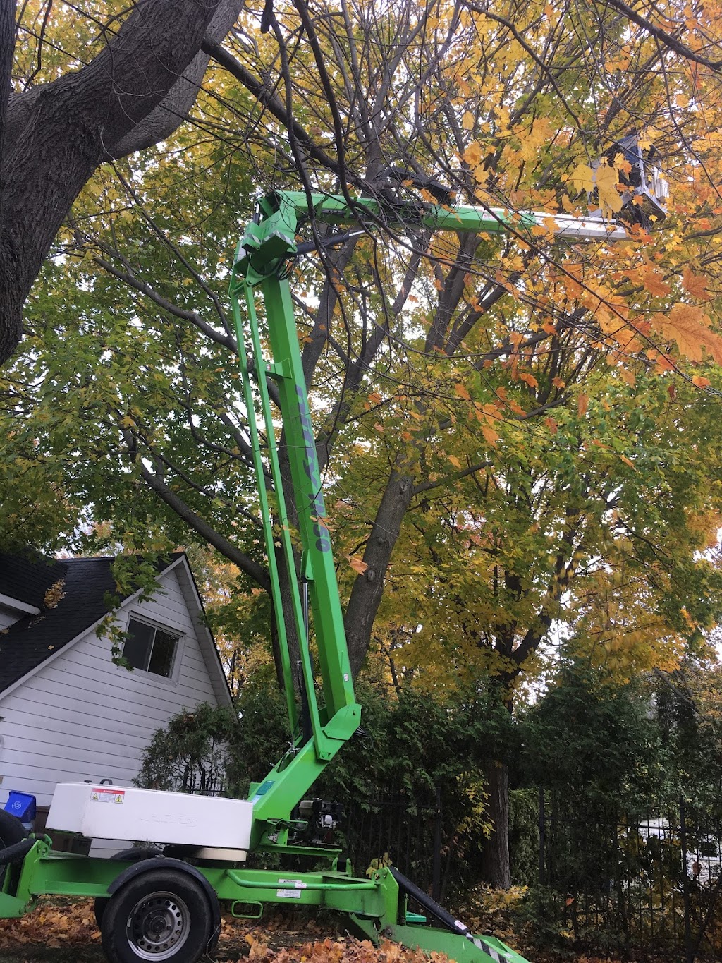 TAS Tree Removal & Pruning | 20 Rue de Lausanne, Kirkland, QC H9H 3Y6, Canada | Phone: (514) 701-2684