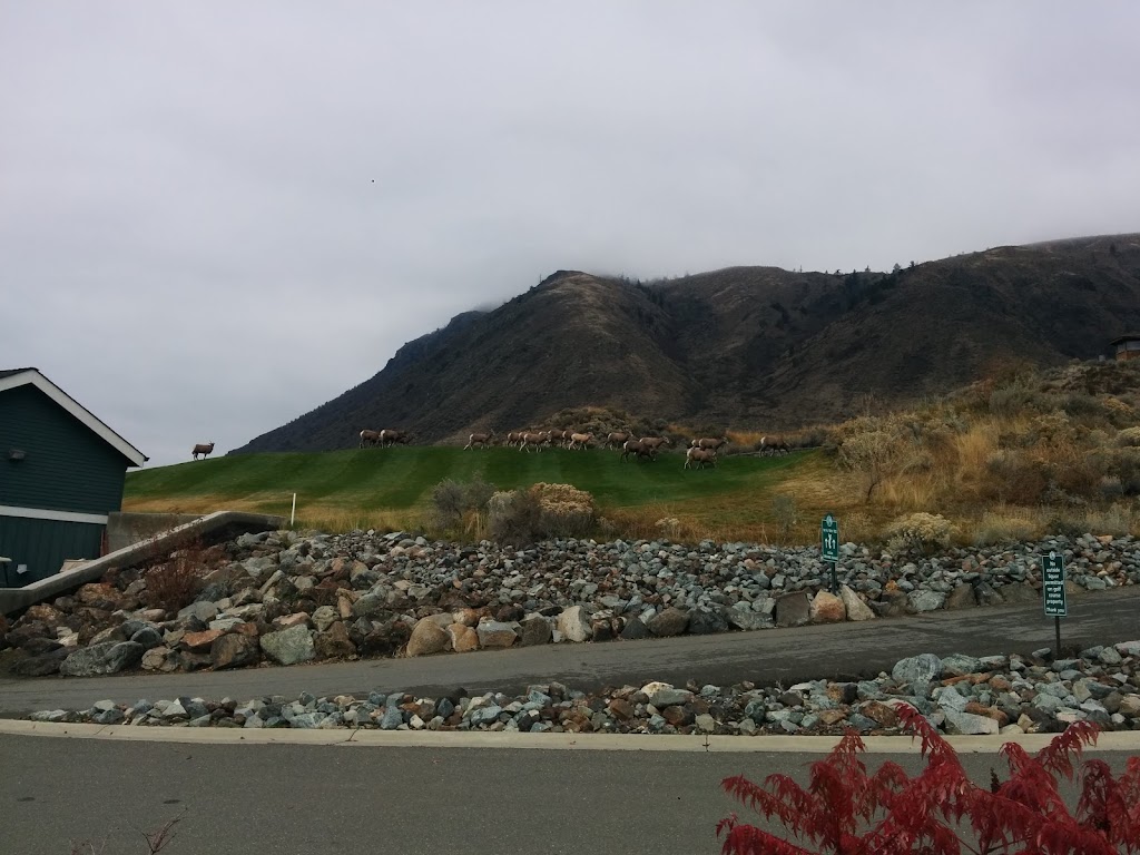 Bighorn Golf & Country Club | 1000 Clubhouse Dr, Kamloops, BC V2H 1T9, Canada | Phone: (250) 571-7888