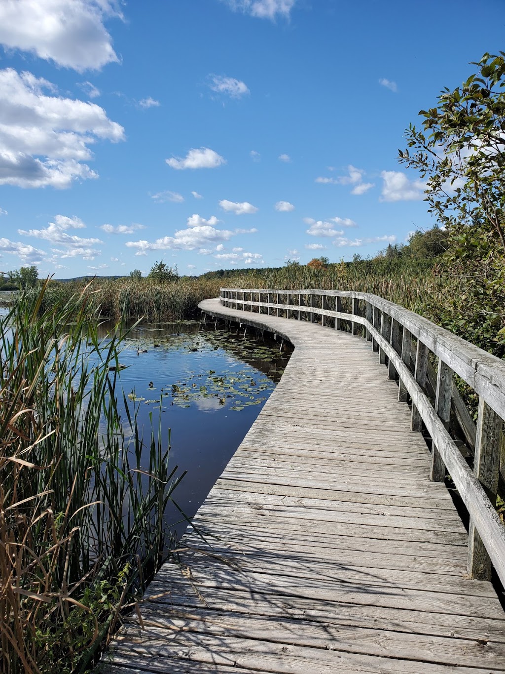 Centre dInterprétation de la Nature du Lac Boivin | 700 Rue Drummond, Granby, QC J2H 0K6, Canada | Phone: (450) 375-3861