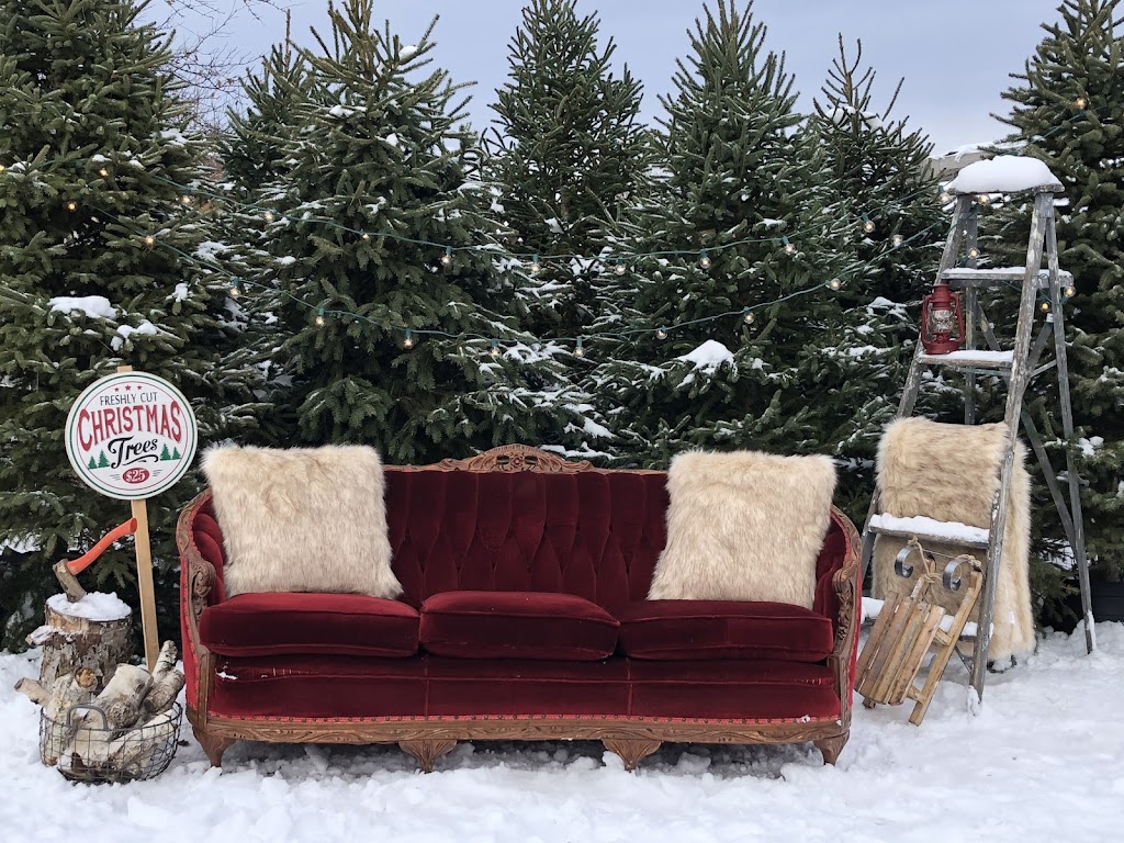 Desroches Tree Farm | 334 Macavalley Rd, Tiny, ON L9M 1R2, Canada | Phone: (705) 549-2271