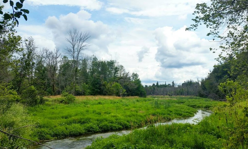 Pipers Glen Park | Unnamed Road, Ayr, ON N0B 1E0, Canada